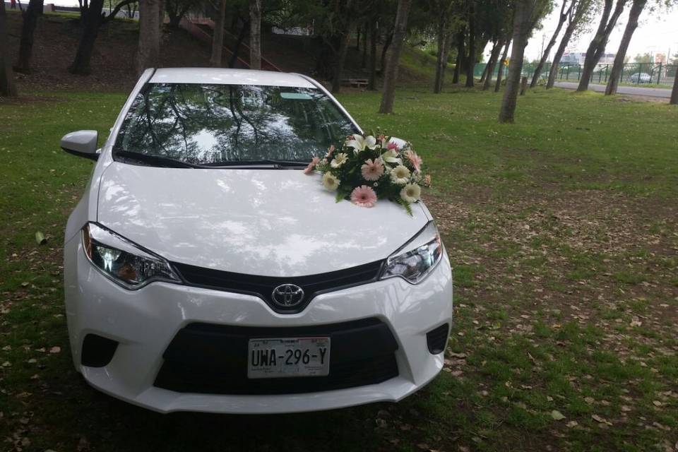 Corolla