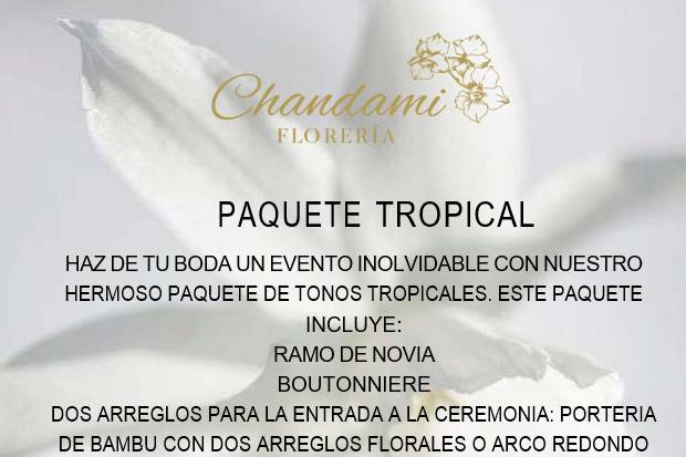 Paquete Tropical
