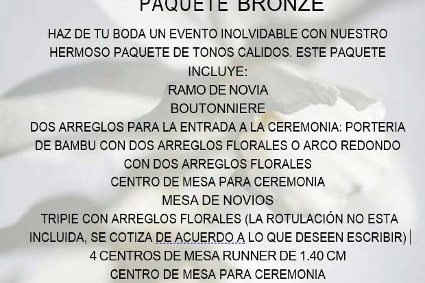 Paquete Bronze