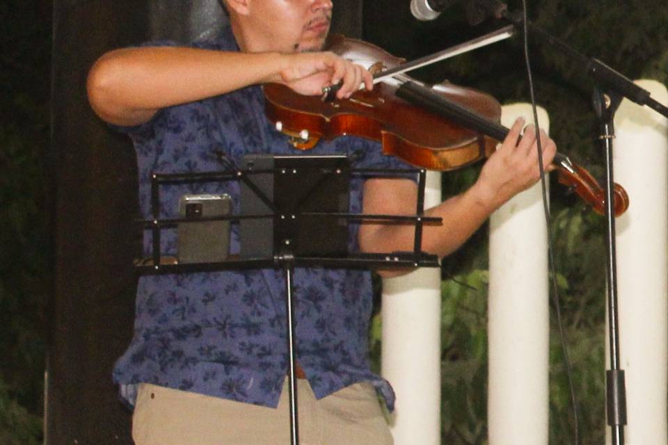 Violín