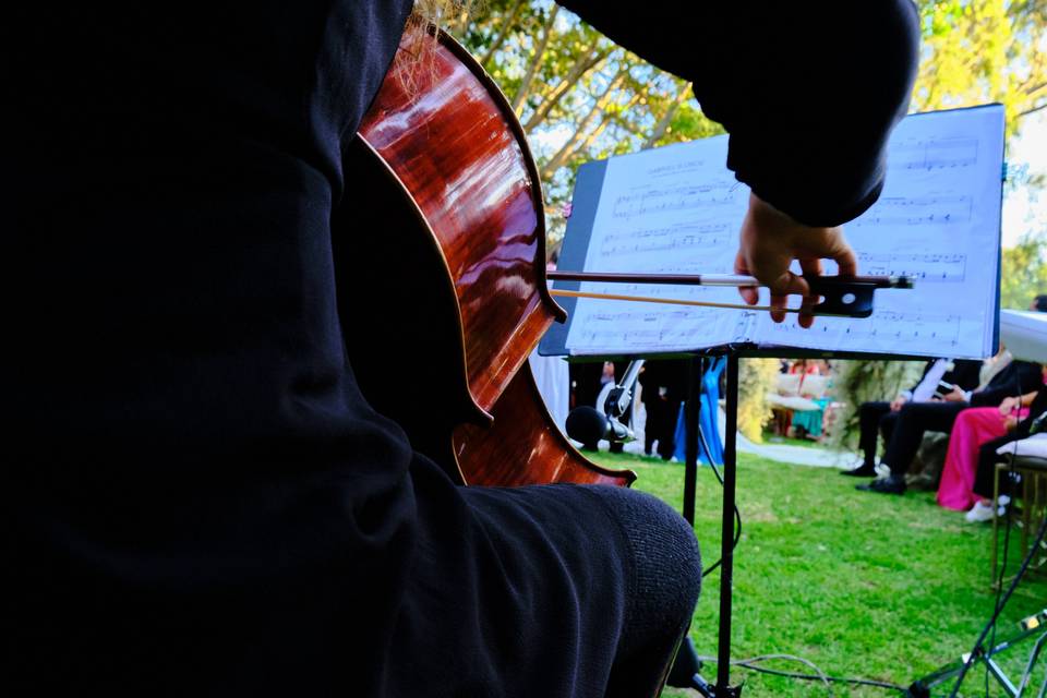 Cello Elegante