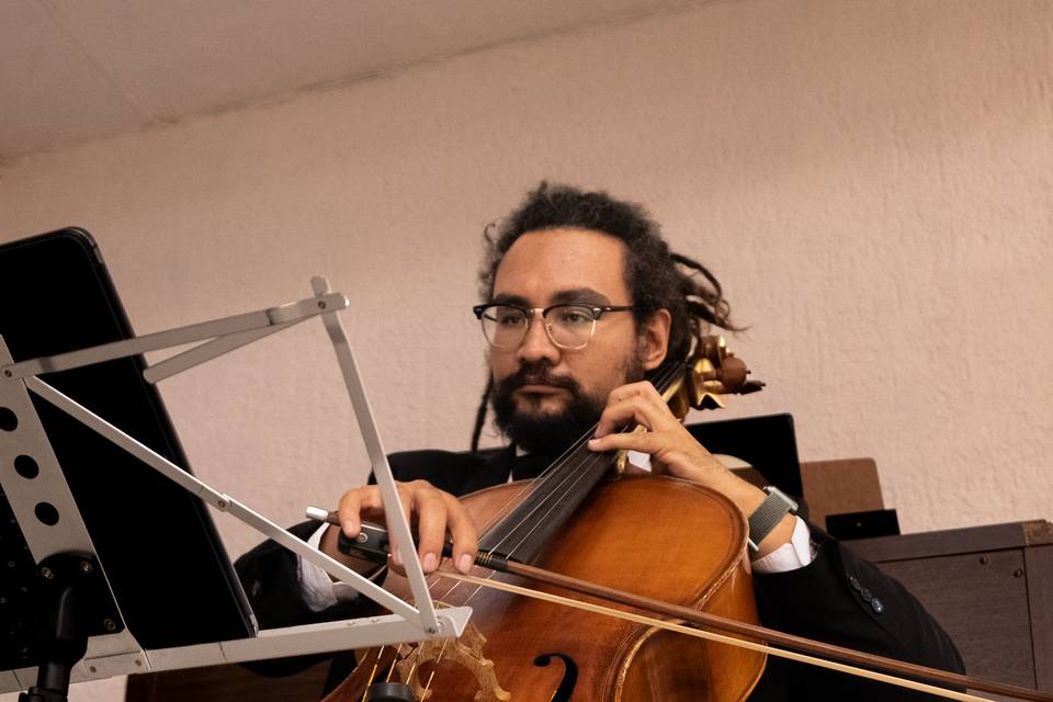 Violonchelo