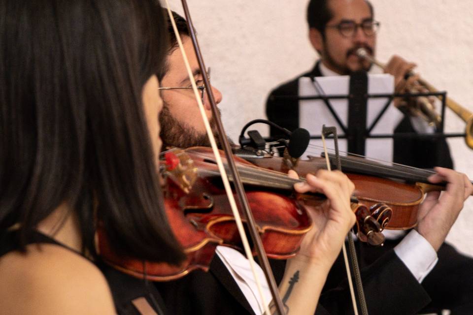 Cuerda Violín