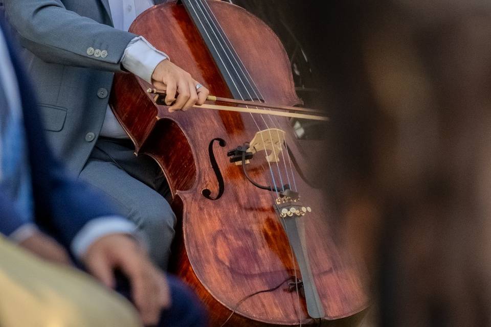 Cello Moderno