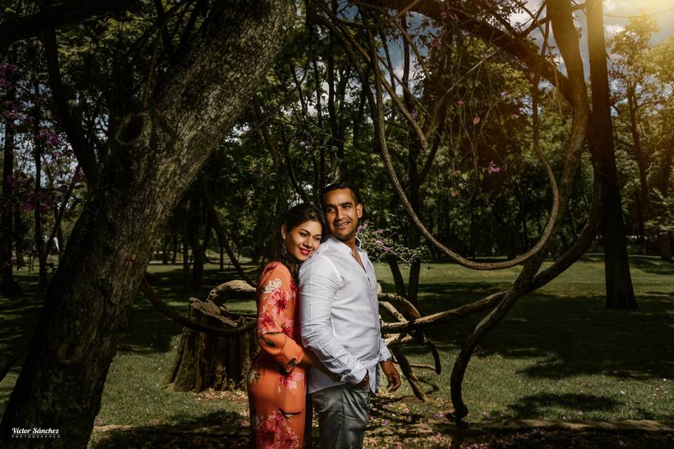 Engagement Session