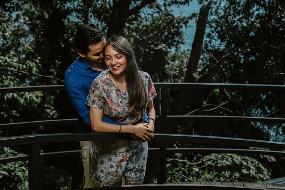 Engagement Session