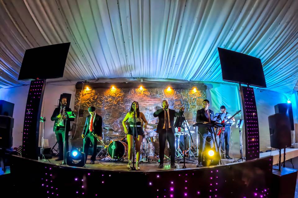 Músicos en el escenario cantando