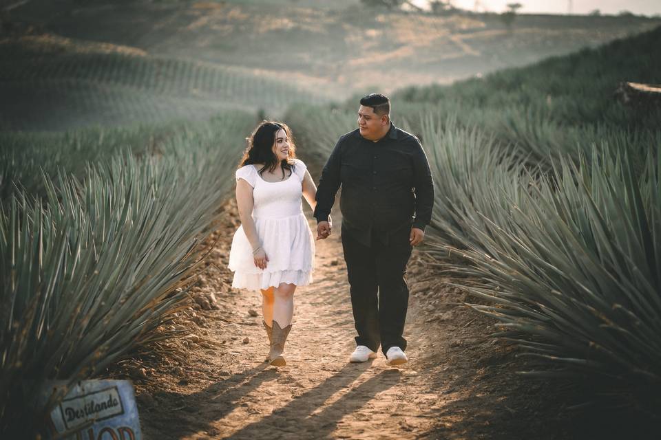 Pareja caminando por los agaves