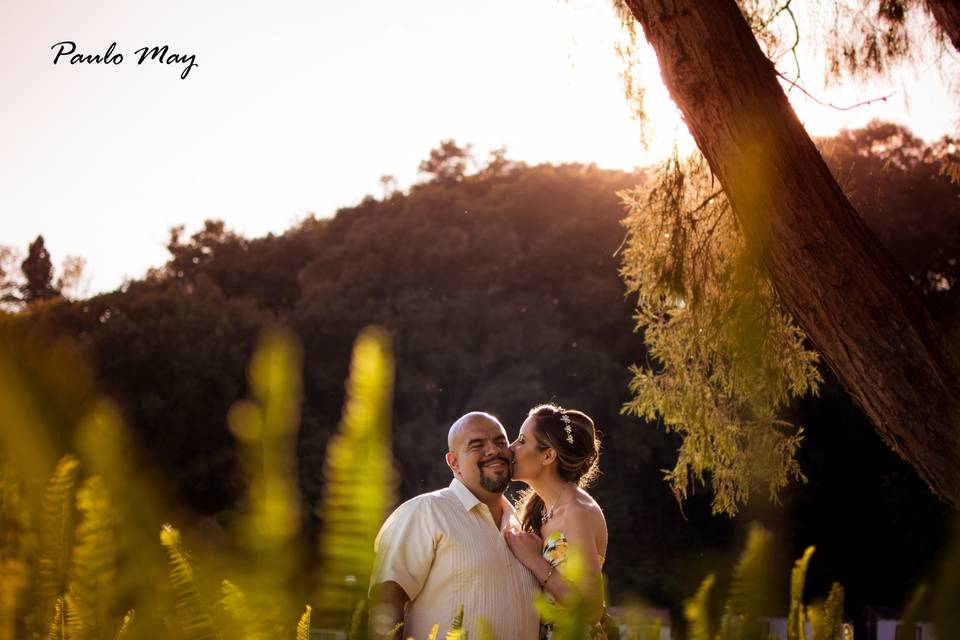 Boda civil cuernavaca morelos