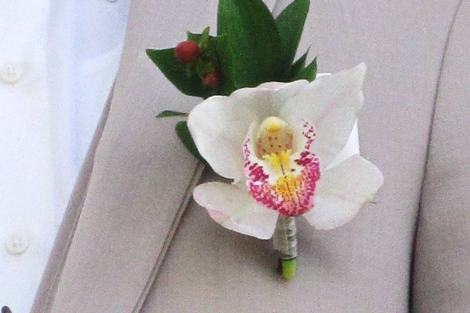 Boutonnier de orquídea