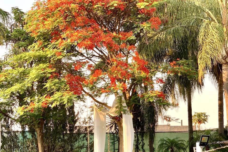 Iluminación en jardines