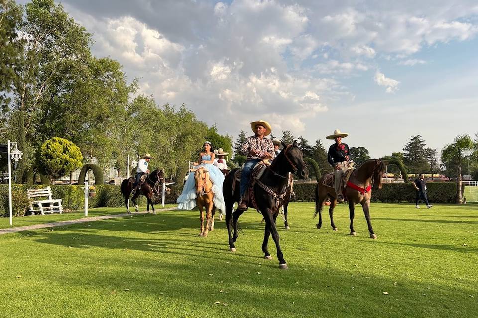 Entrada caballos