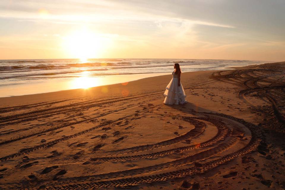 Trash the Dress