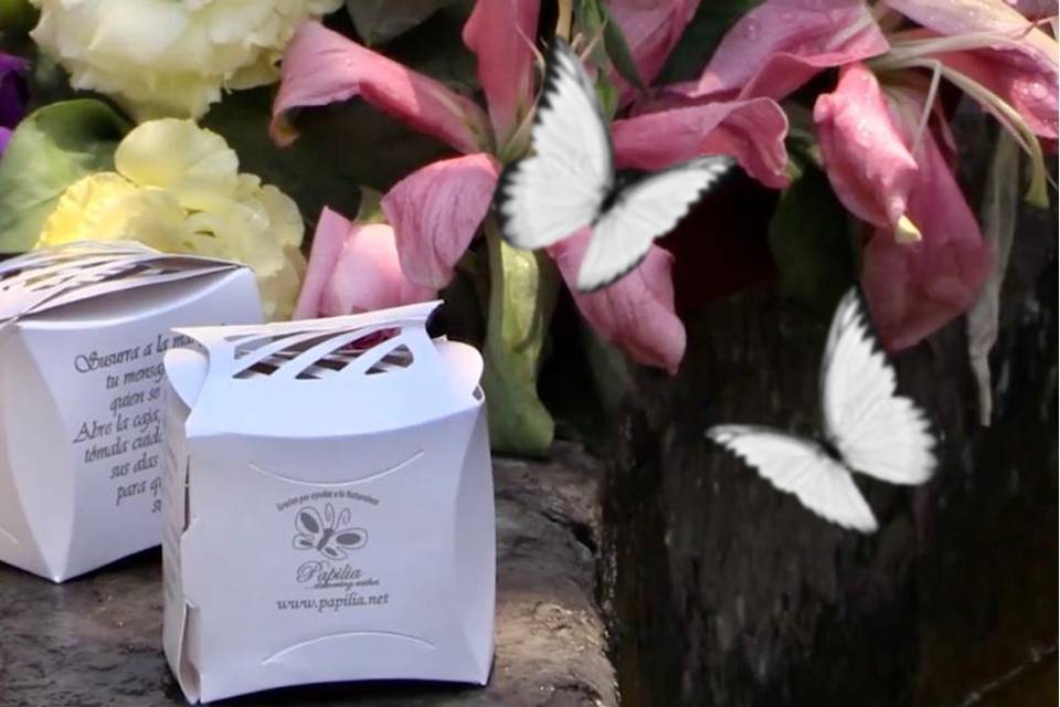 Caja Individual Edición Plata