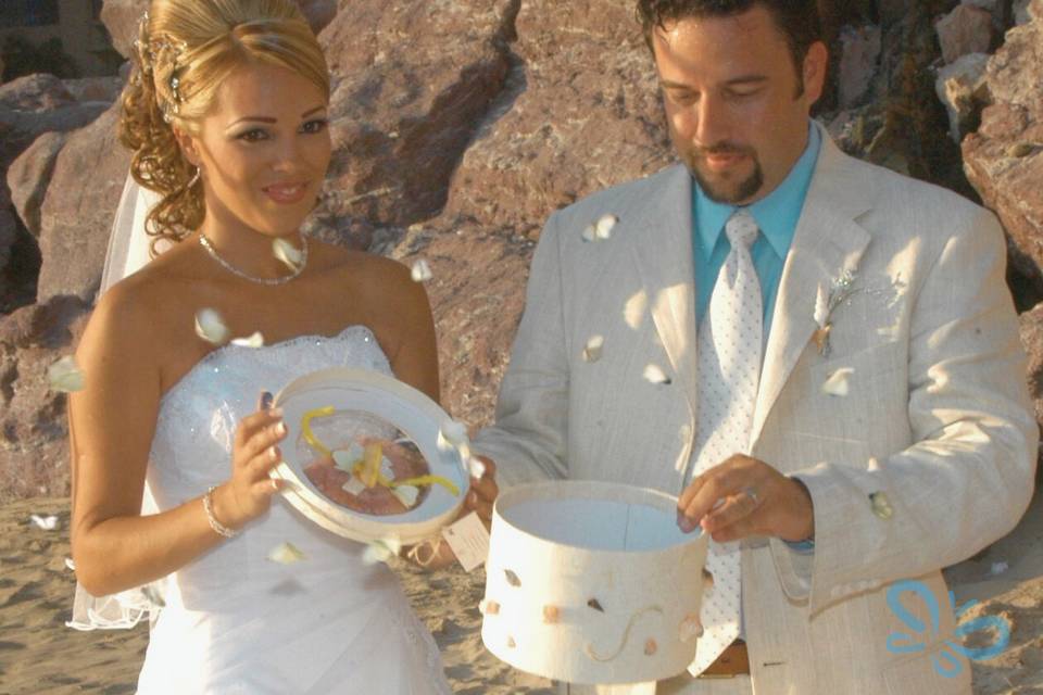 Boda caja masiva Edición Oro