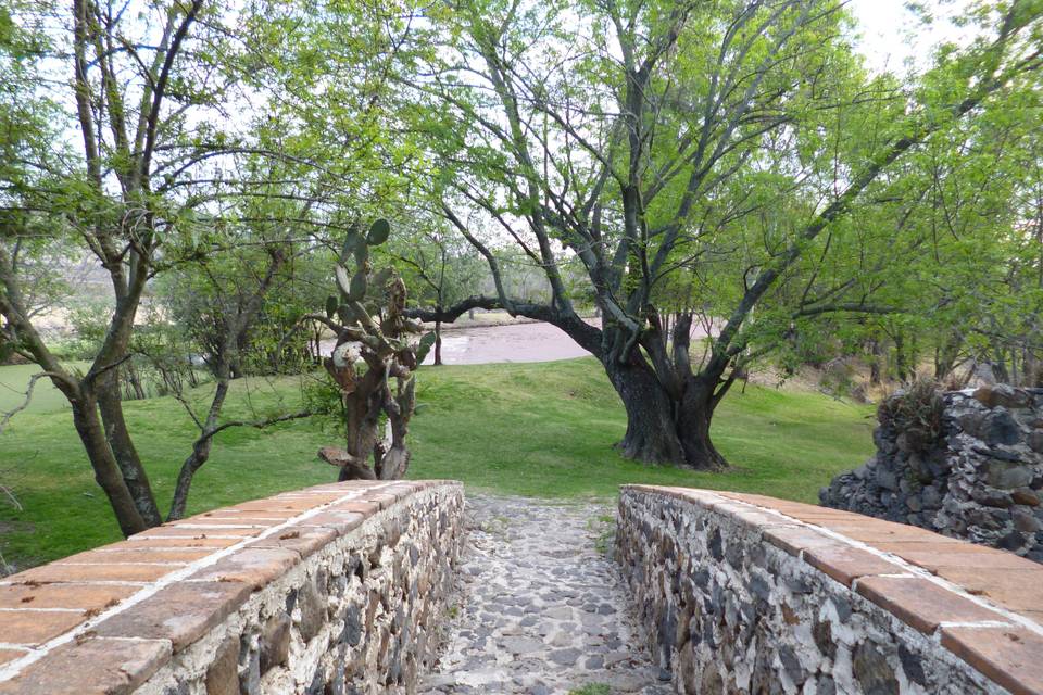 Hacienda Cerro Gordo