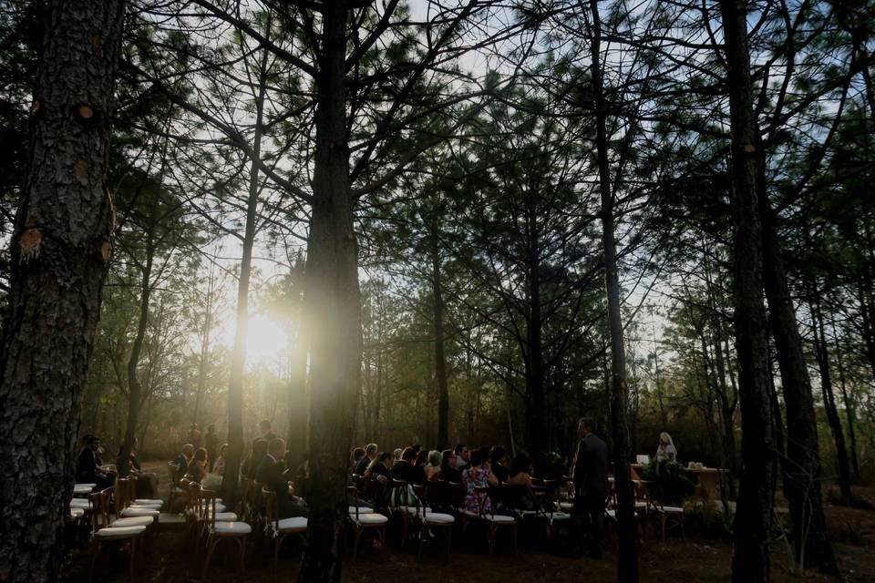 Ceremonia en bosque