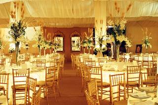 Prolight Eventos