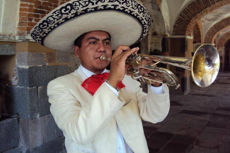 Teléfonos de Mariachis