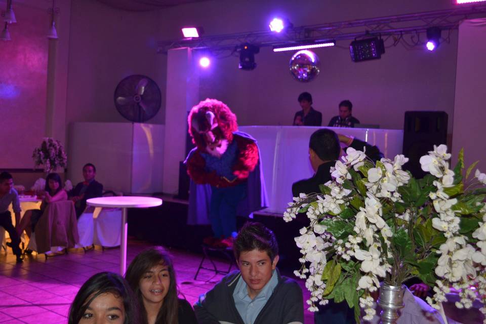 Fiesta tema