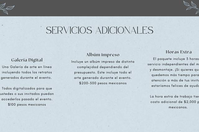 Servicios Adicionales