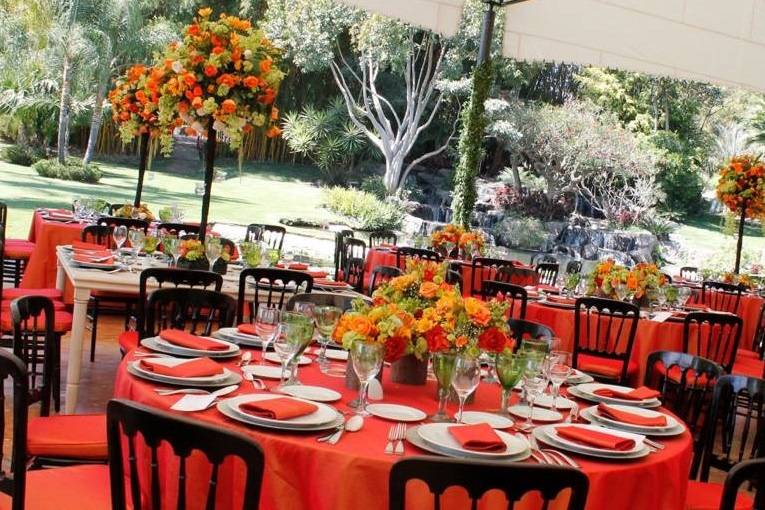 Mangiare Catering & Eventos