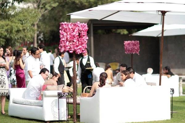 Mangiare Catering & Eventos