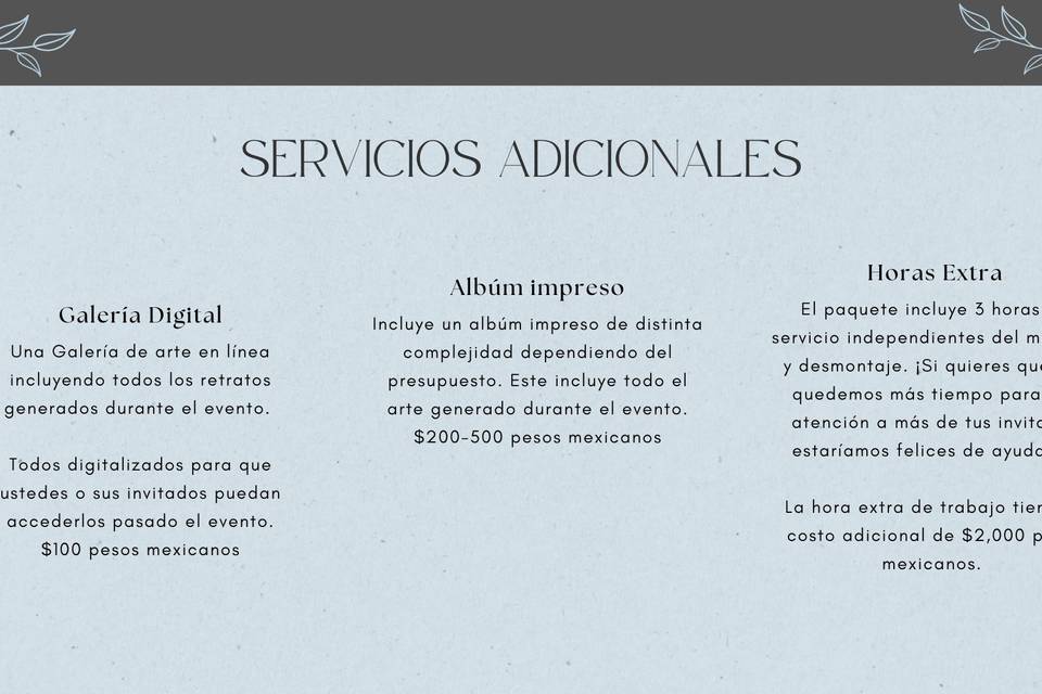 Servicios Adicionales