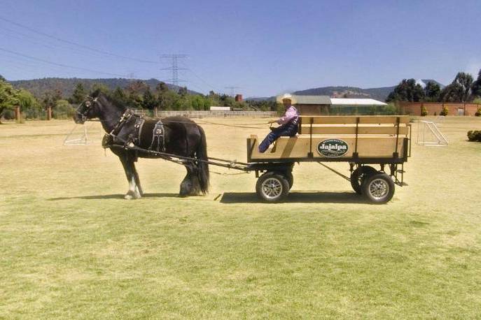 Bodas y eventos campestres