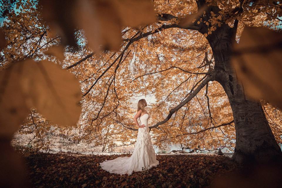 Fotógrafo de bodas CDMX, México