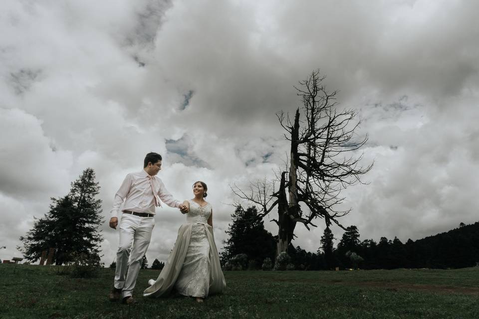 Sesion Trash the dress