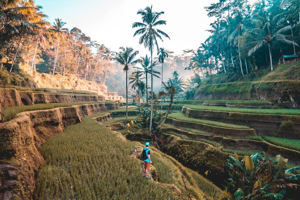 Viajes a Bali