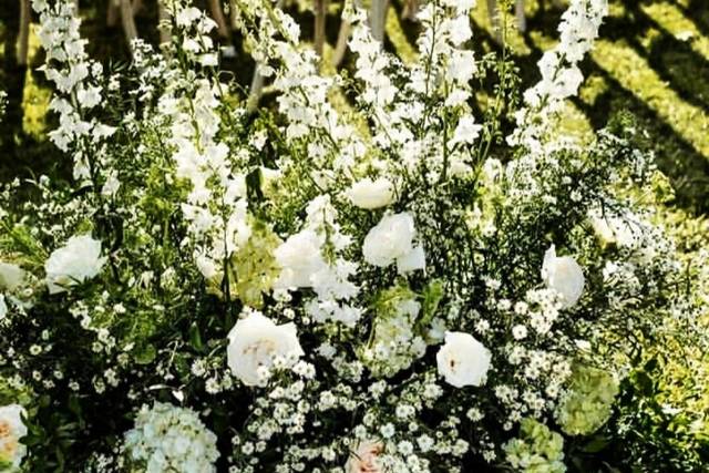 Flores