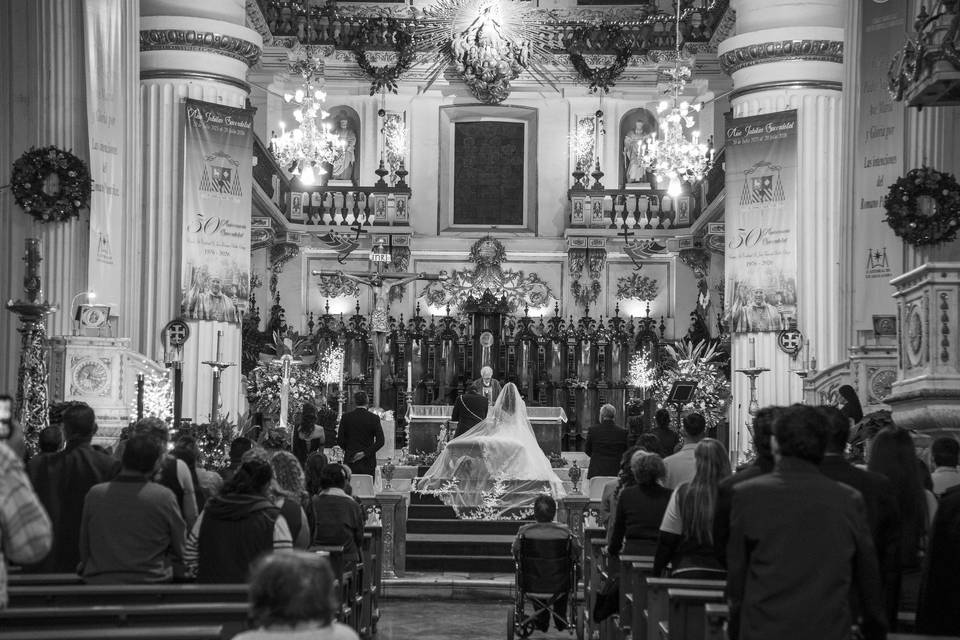 Catedral de gdl