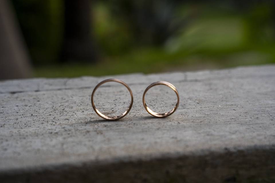 Anillos