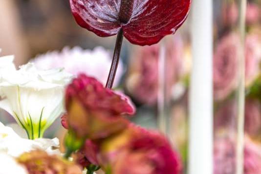 Boda en jardín