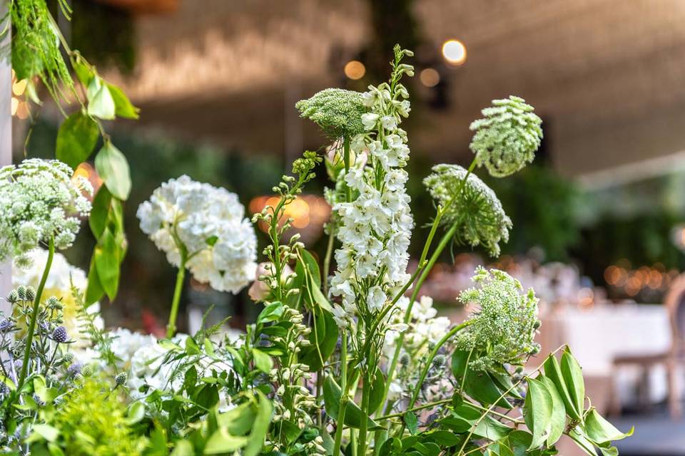 Boda en jardín
