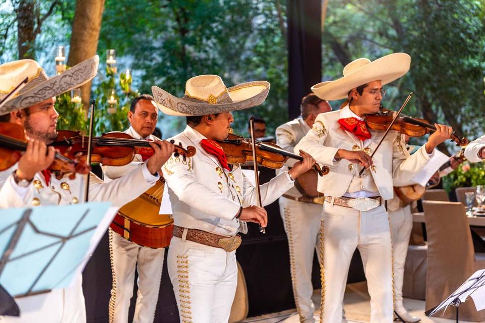 Boda en jardín