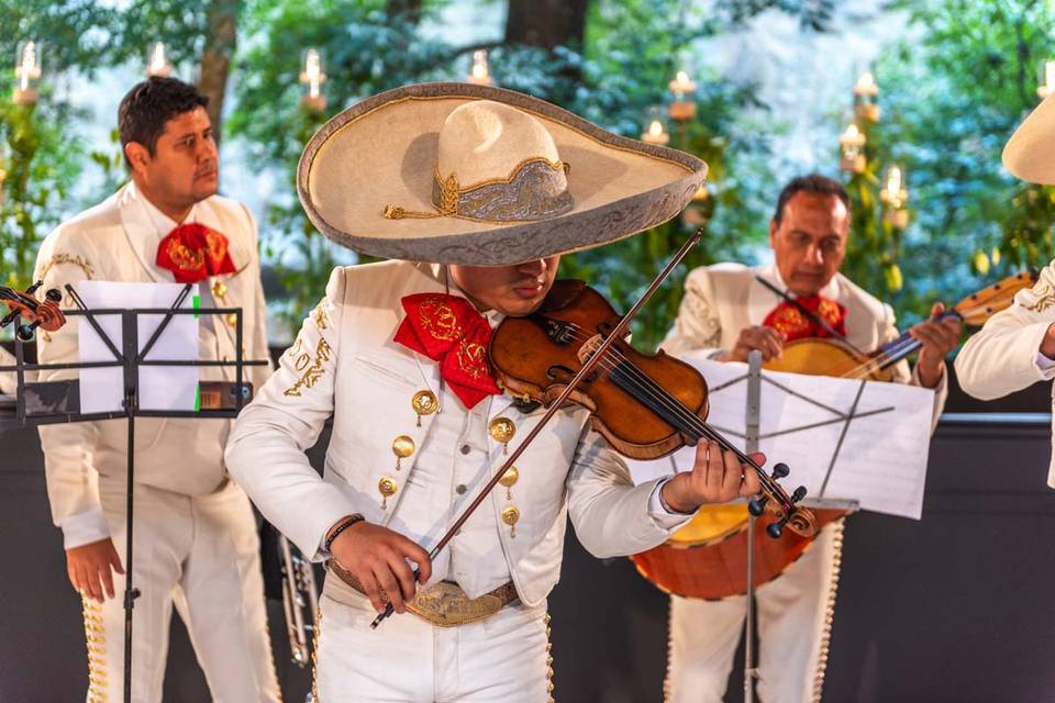 Boda en jardín