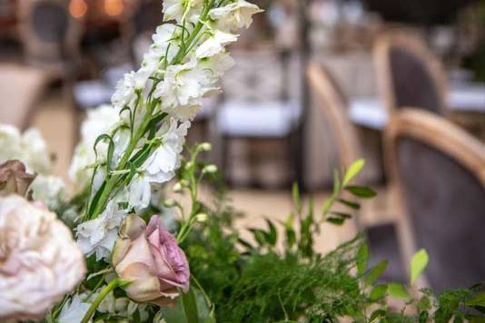 Boda en jardín