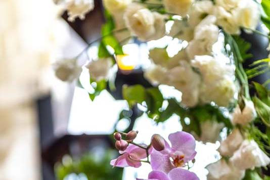 Boda en jardín