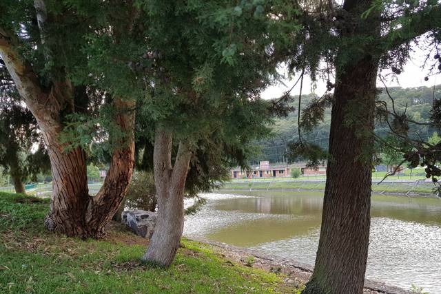 El lago