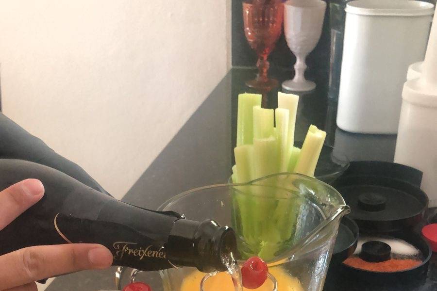 Mimosas Casa Hidalgo