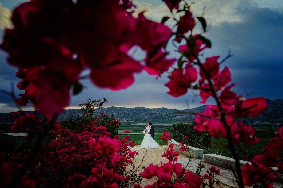 Fotógrafo de bodas