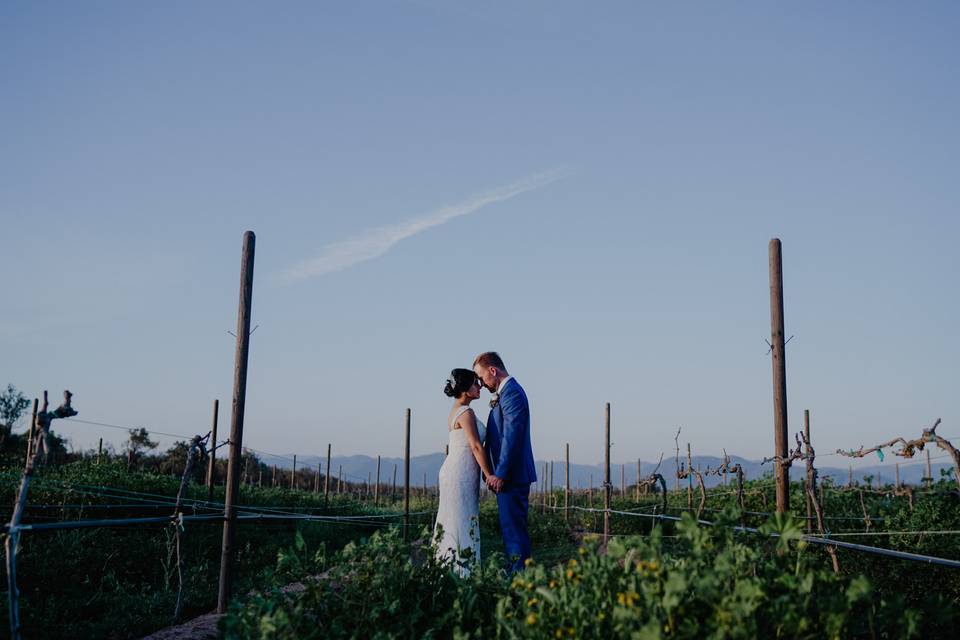 Fotógrafo de bodas