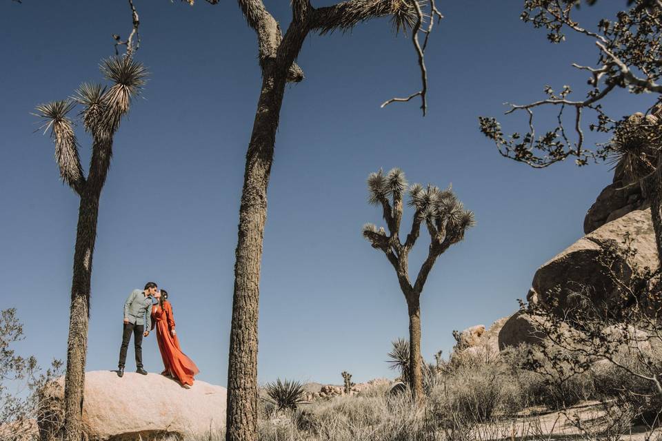 Fotógrafo de bodas