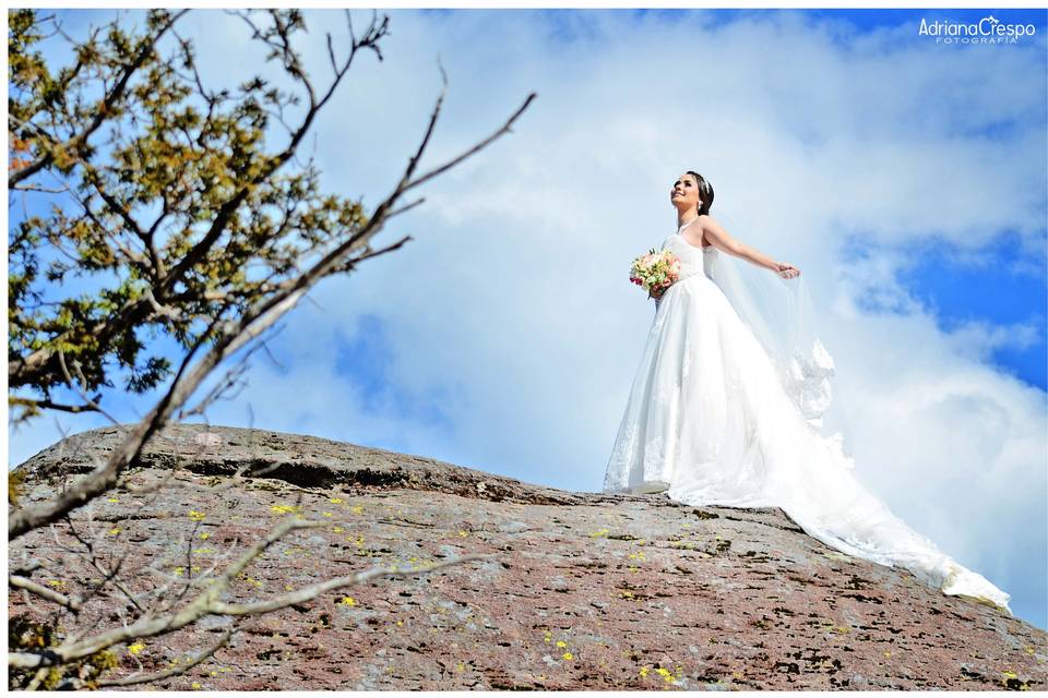 Trash the dress