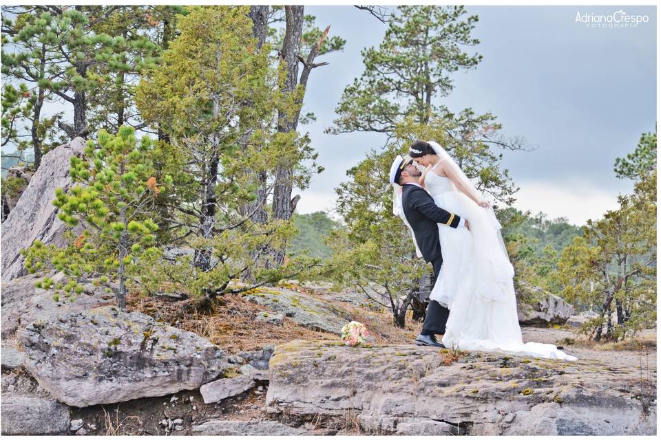 Trash the dress