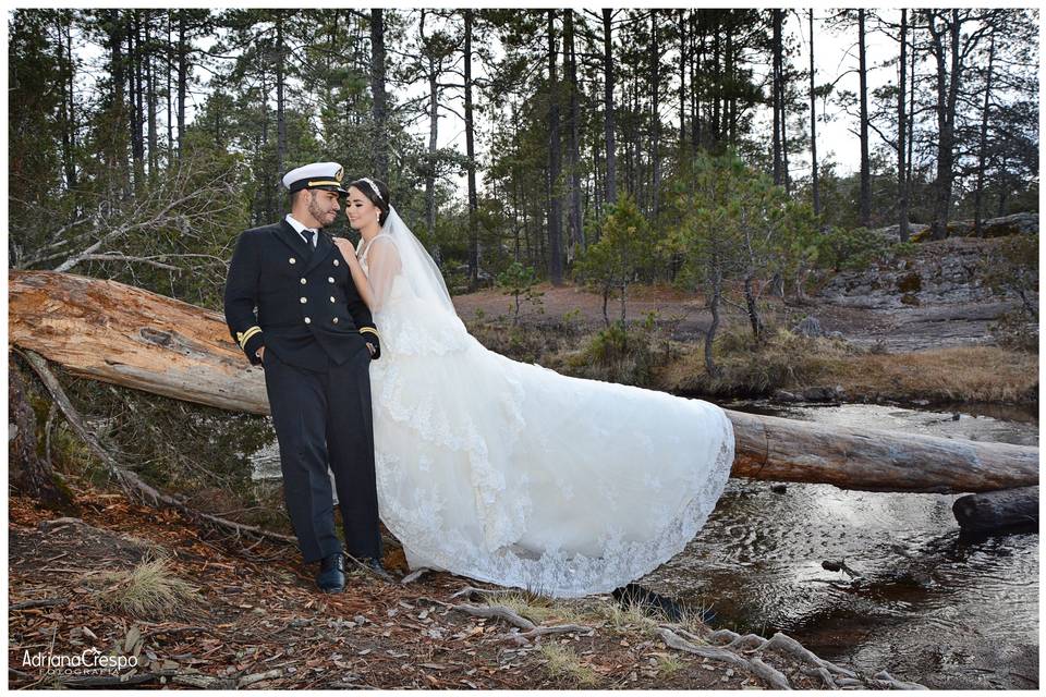 Trash the dress