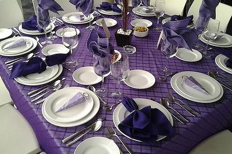 Presentación de la mesa